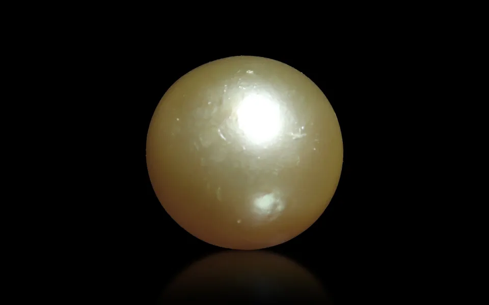 South Sea Pearl – 11.51 Carats