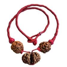 Prem Vriddhi Mala – 6 Mukhi, 7 Mukhi and Gauri Shankar Rudraksha (AB)