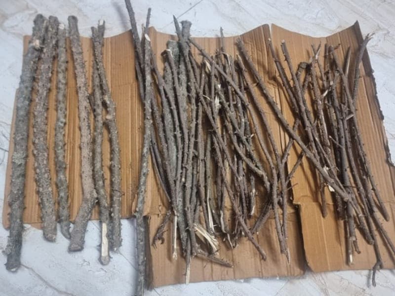 Temru wood photo 2
