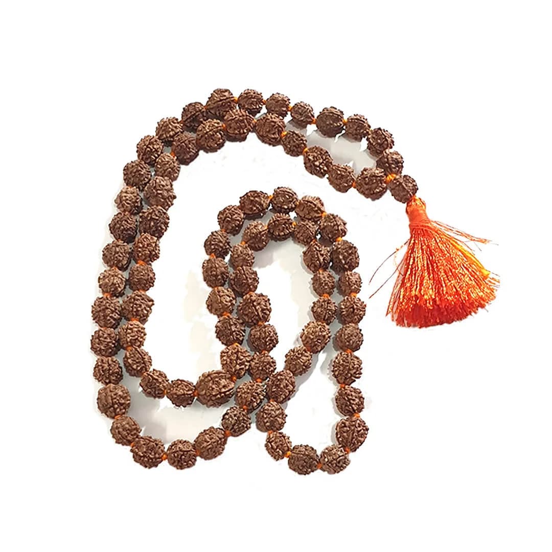 Swasth Vriddhi Mala – 7 Mukhi and 2 Mukhi Rudraksha